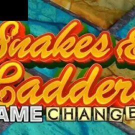 Snakes & Ladders Game Changer