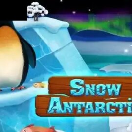 Snow Antarctic