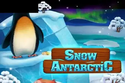 Snow Antarctic