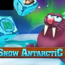 Snow Antarctic Dice