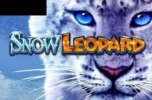 Snow Leopard