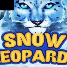 Snow Leopards