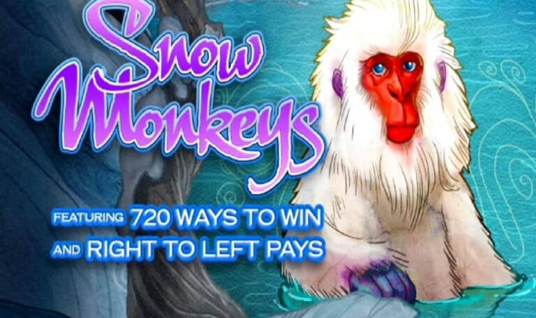 Snow Monkeys