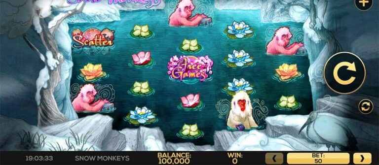 Snow Monkeys