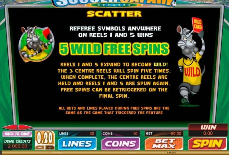 Soccer Safari