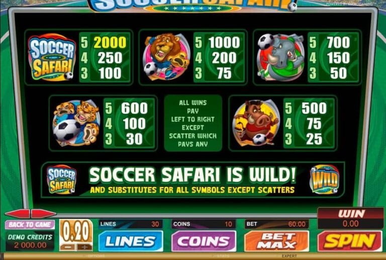 Soccer Safari