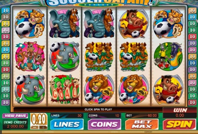 Soccer Safari