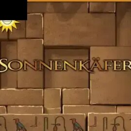 Sonnenkäfer