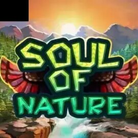 Soul of Nature
