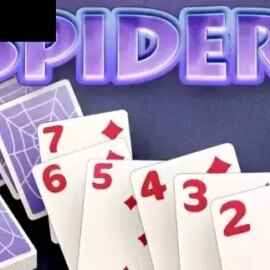 Spider