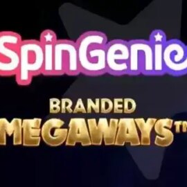 Spin Genie Branded Megaways