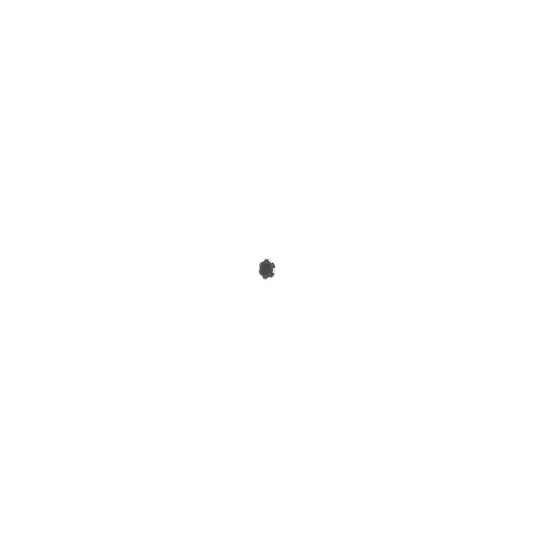 Spin Slots