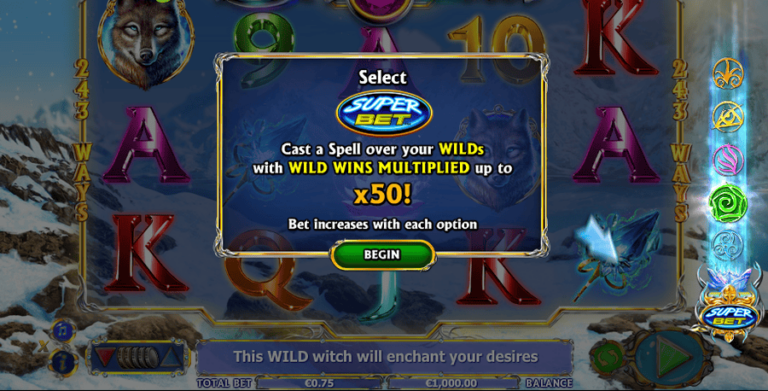 Spin Sorceress