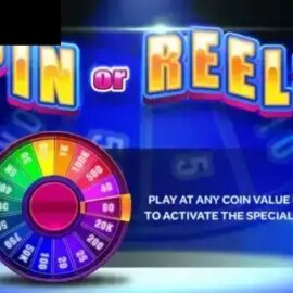 Spin or Reels