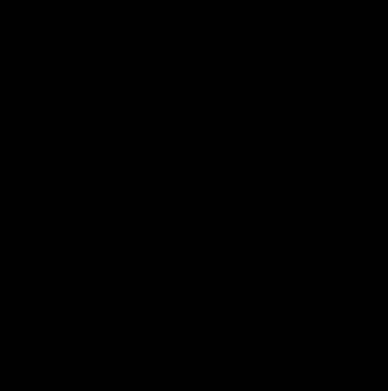Spinnalot