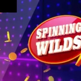 Spinning Wilds