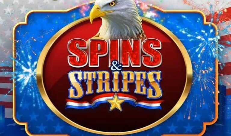 Spins and Stripes