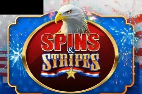 Spins and Stripes