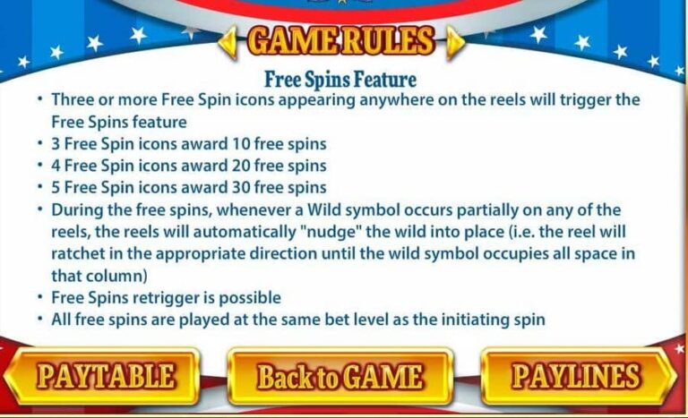 Spins and Stripes