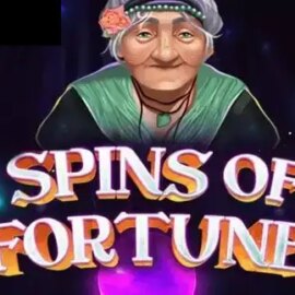 Spins of Fortune