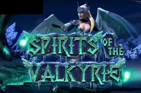 Spirits of the Valkyrie