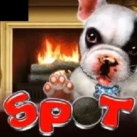 Spot (GMW)