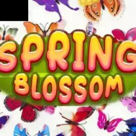 Spring Blossom