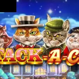 Stack A Cat