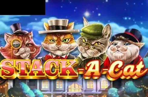 Stack A Cat