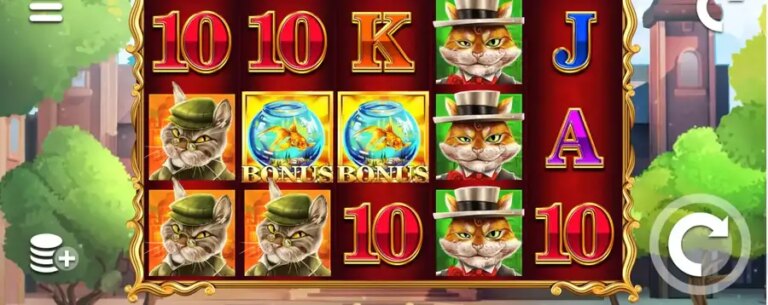 Stack A Cat