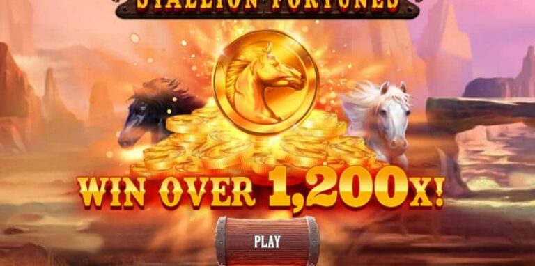 Stallion Fortunes
