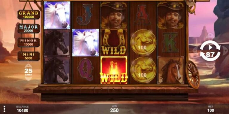 Stallion Fortunes