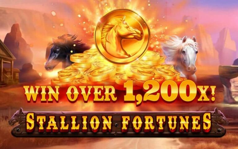 Stallion Fortunes