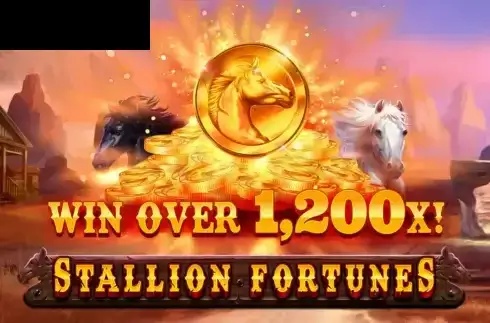 Stallion Fortunes