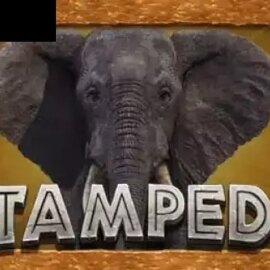 Stampede (Eyecon)