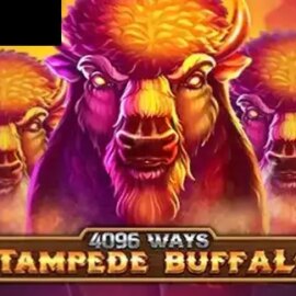 Stampede Buffalo 4096 Ways