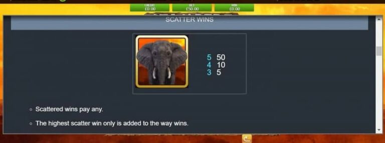 Stampede Jackpot
