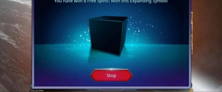 Stellar Spins