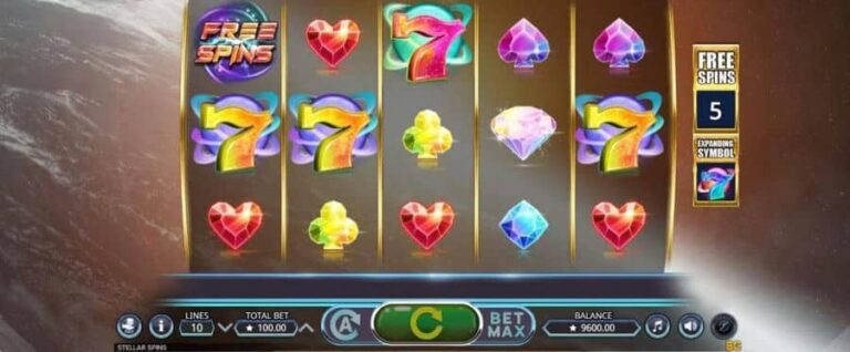Stellar Spins