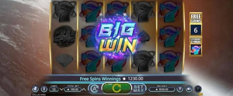 Stellar Spins