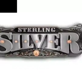 Sterling Silver 3D/2D