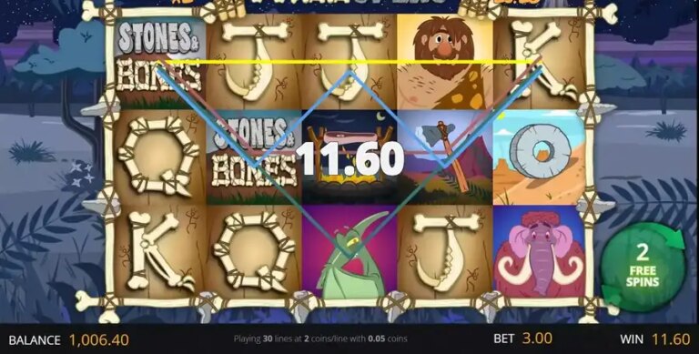 Stones and Bones