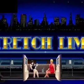 Stretch Limo