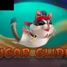 Sugar Glider