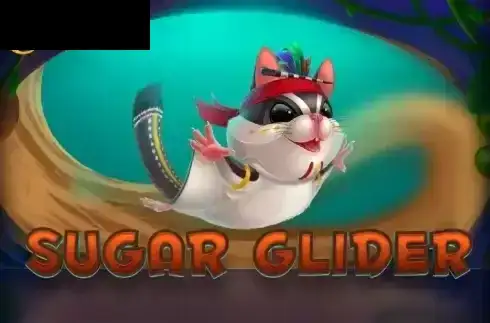 Sugar Glider