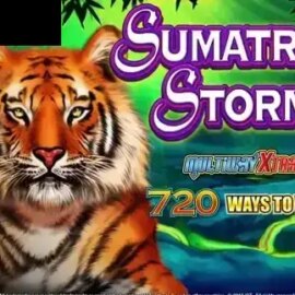 Sumatran Storm