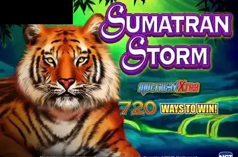 Sumatran Storm