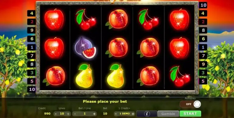 Sunny Fruits