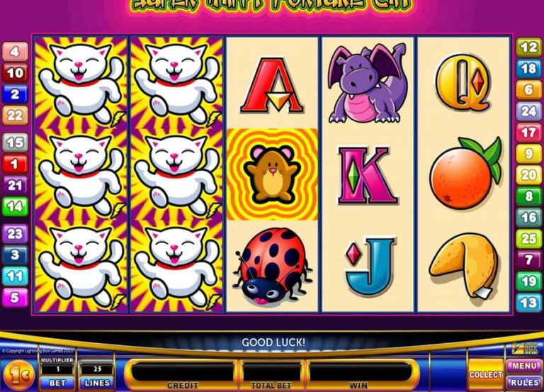 Super Happy Fortune Cat