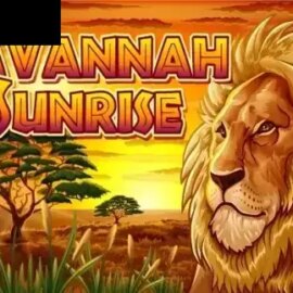 Savannah Sunrise